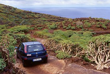 Fahrweg zum Aussichtspunkt Punta de Santo Domingo