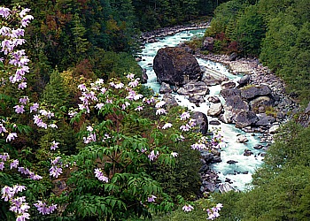 Schlangenförmig windet sich der Milchfluß (Dudh Koshi) durch das enge Tal