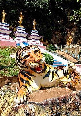 Tiger am Eingang des Tiger Cave Tempels