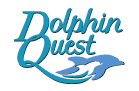 Dolphin Quest