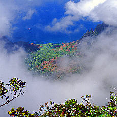 Pihea Trail an der Napali Küste auf der Hawaii Insel Kauai