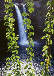 Wasserfall in Hilo