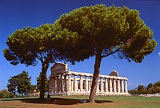 Griechische Tempel in Paestum