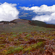 Auf dem Weg zum Haleakala Gipfel