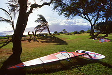Windsurfen auf Maui