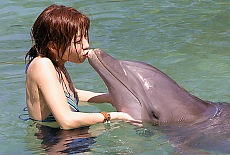 Schwimmen mit Delfinen bei Dolphin Quest auf Moorea