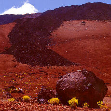 riesige Teideeier (Los Huevos del Teide)