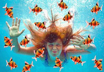 Wasserwellen eCard