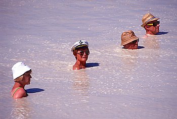 Mutige Schwimmer im Fango-Schlammbad