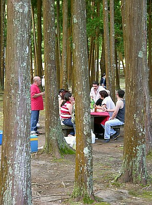 Picknick im Wald am Lagoa Furnas