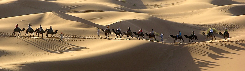 Kamel Karawane in den Sanddünen von Merzouga