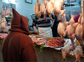 Geflgelhndler in der Medina von Tetouan