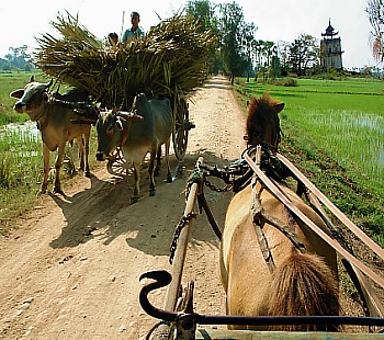 Kutschfahrt zum schiefen Turm Nanmyin in Inwa (Ava)