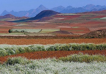 Toskana Landschaft in den Shan Bergen zwischen Kalaw und Mandalay