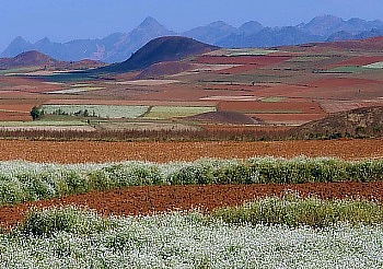 Toskana Landschaft in den Shan Bergen zwischen Kalaw und Mandalay