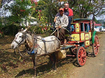 Nostalgische Pferdekutschen sorgen für Wildwestatmosphäre in Pyin Oo Lwin