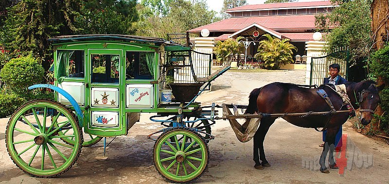 Unsere Kutsche vor dem Royal Parkview Hotel in Pyin Oo Lwin