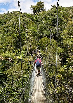 Hängebrücke im Abel Tasman National Park