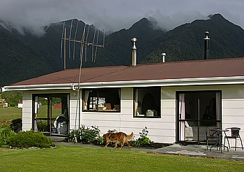 Fox Glacier Homestay