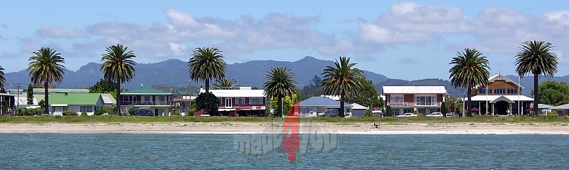 Palmenstrand in Whitianga