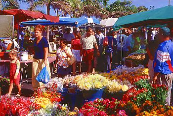 Samstagsmarkt in St.-Pierre