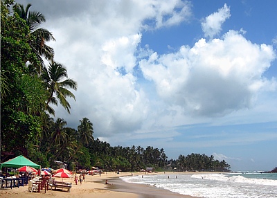 Traumstrand in Mirissa an der Südspitze von Sri Lanka