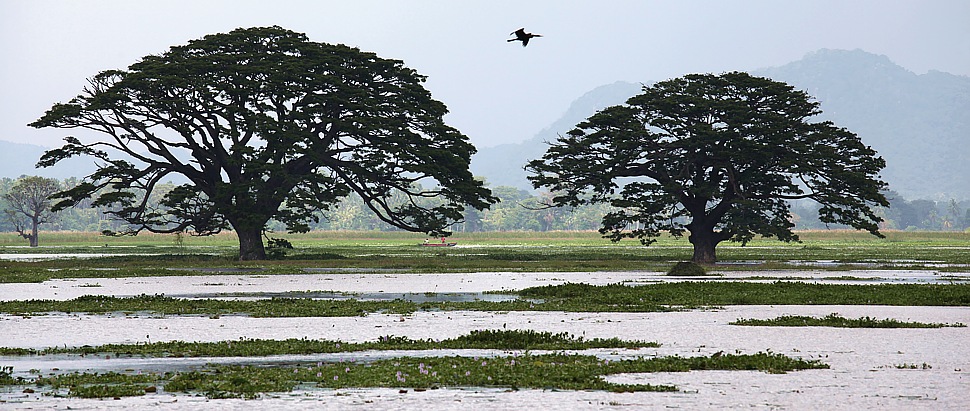 See bei Tissamaharama