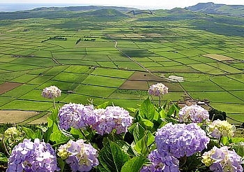 Serra do Cume