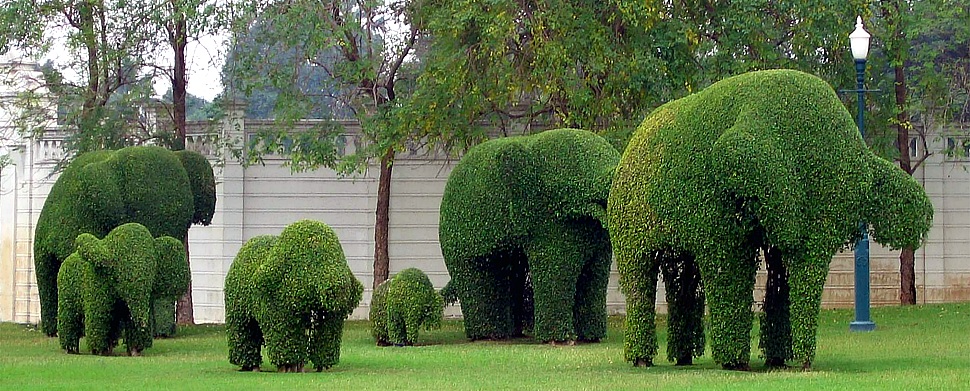 Originelle Elefantenherde in einem Park von Bangkok