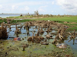 Das geschundene Land nach dem Wirbelsturm Nargis