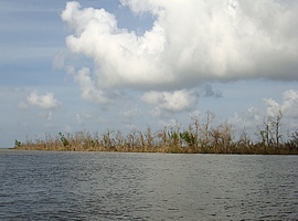 Das geschundene Land nach dem Wirbelsturm Nargis