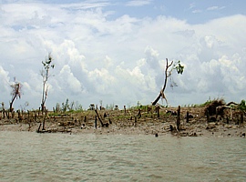 Das geschundene Land nach dem Wirbelsturm Nargis