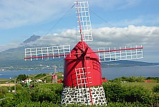 Windmühlen auf Faial, im Hintergrund der Vulkan Pico (März)