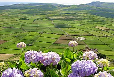 Aussichtspunkt Serra do Cume auf Terceira (Juni)