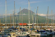 Blick vom Jachthafen in Horta auf den Pico (Juli)