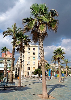 Strandpromenade mit Palmen (September)