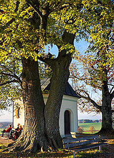Aussichtspunkt Fürst Tegernberg am Starnberger See