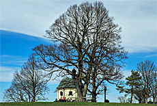 Frst Tegernberg mit Maria Dank Kapelle am Starnberger See