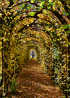 Schloss Linderhof Wandelgang im Herbst