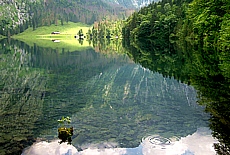 Fischunkelalm am Obersee des Königssees