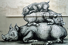 lustige Schweine als Wandmalerei