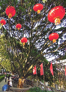 Farbenfrohe Allee in Guilin