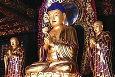 Buddha mit Hakenkreuz in der Wildganspagode