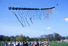 Drachenfestival im Englischen Garten in München (Juni)