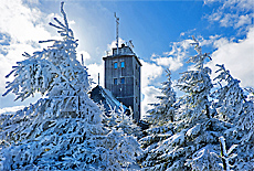 Wintermärchen am Fichtelberg (Februar)