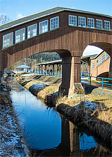 Bahnhof Erzgebirgsbahn Thermalbad Wiesenbad (Juni)