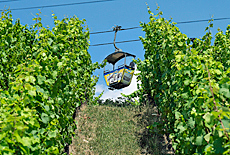 Seilbahn bei Rdesheim