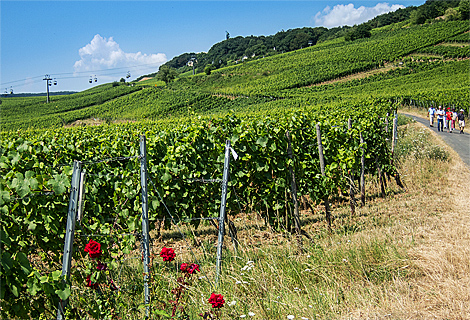 Drachenstein Seilbahn zum Niederwalddenkmal
