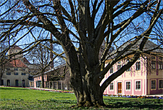 Salettl im Hofgarten der Universität Weihenstephan
