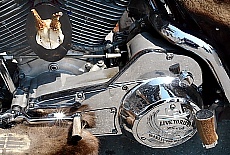 Wolpertinger Harley Davidson